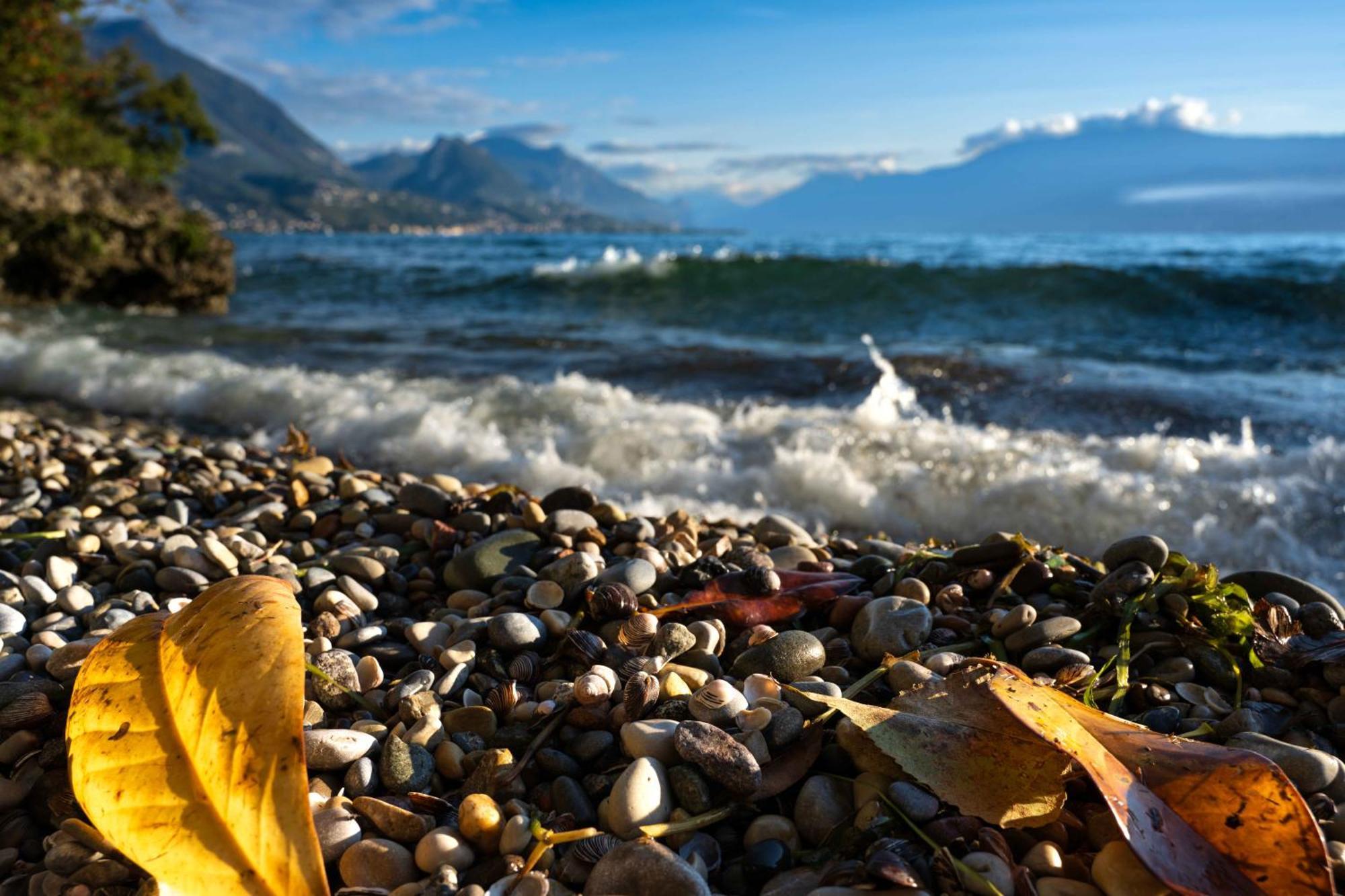 San Carlo Appartamenti Vacanze โซยาโน เดล ลาโก ภายนอก รูปภาพ