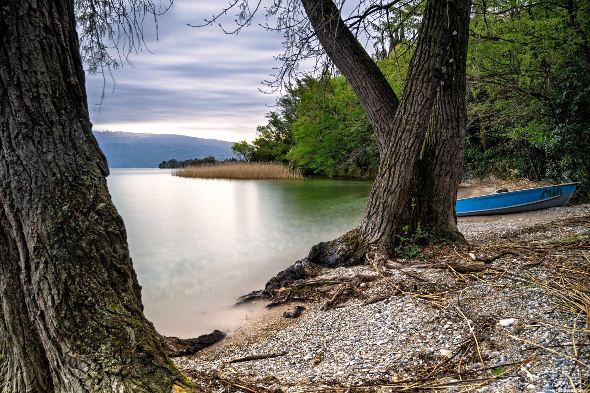 San Carlo Appartamenti Vacanze โซยาโน เดล ลาโก ภายนอก รูปภาพ